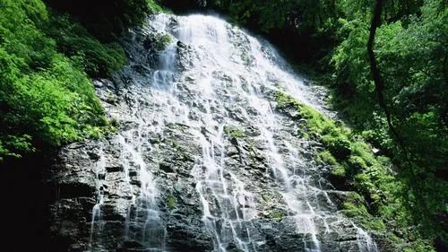 智能化高效